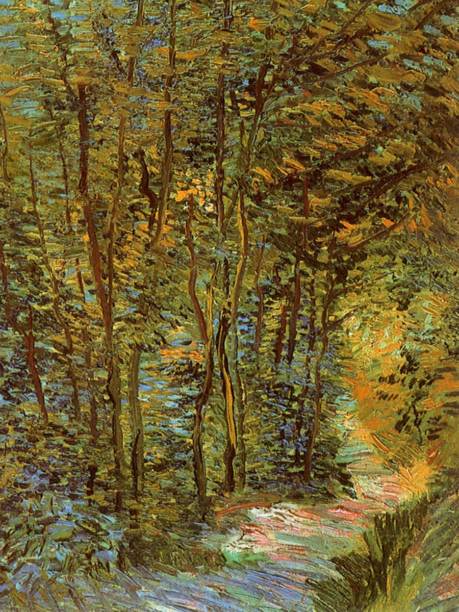 Pintura Path in the Woods, com trilha em destaque